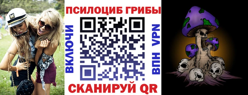 Псилоцибиновые грибы GOLDEN TEACHER  нарко площадка Telegram  Заозёрный  где купить наркоту 